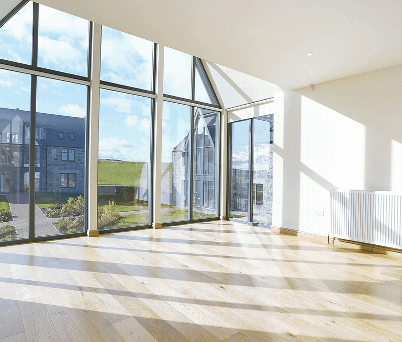 Find your forever home, today.